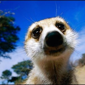 Meet your Posher, Gabriela